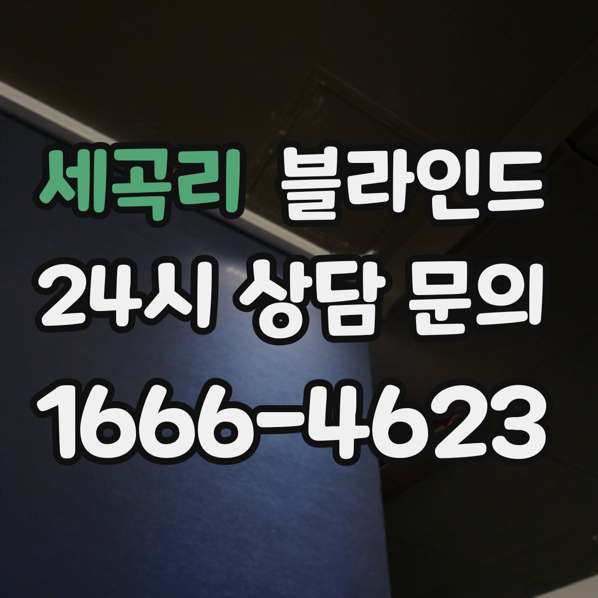 세곡리 블라인드