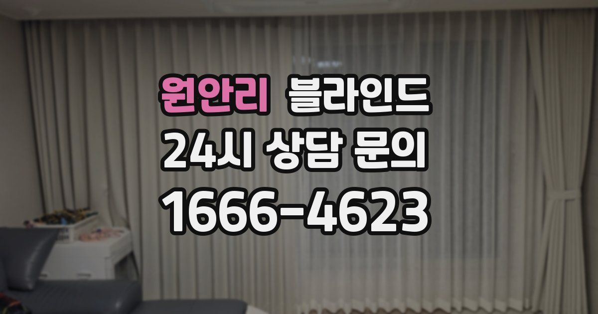 원안리 블라인드