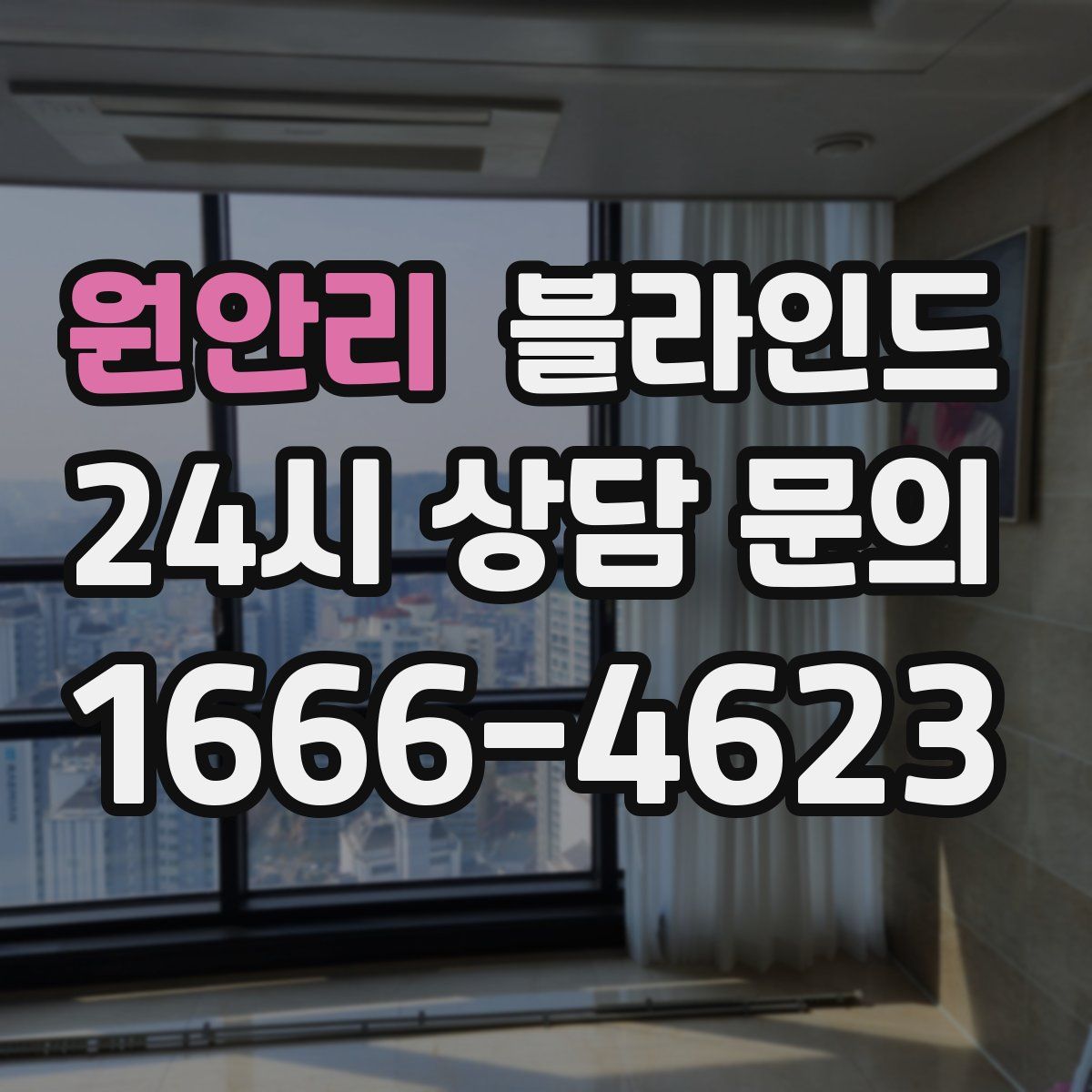 원안리 블라인드