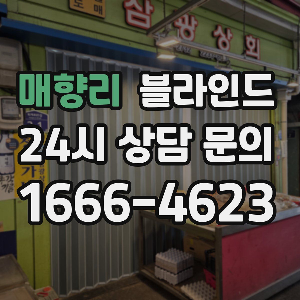 매향리 블라인드