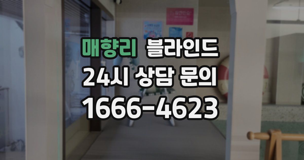 매향리 블라인드