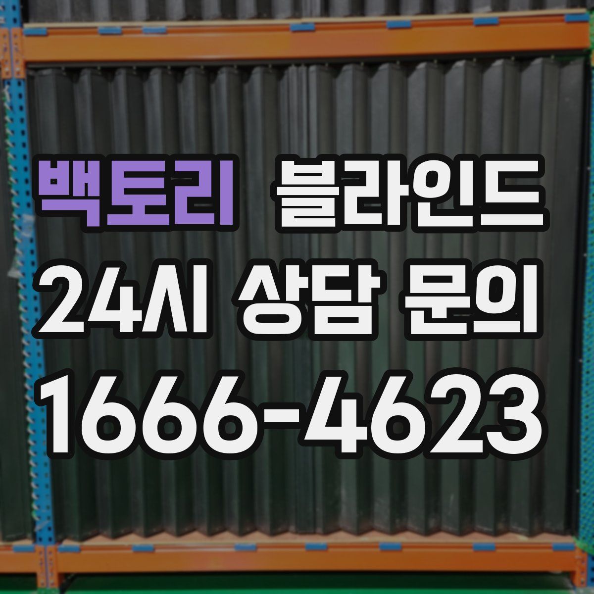백토리 블라인드