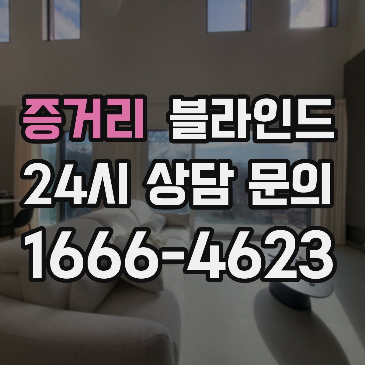 증거리 블라인드