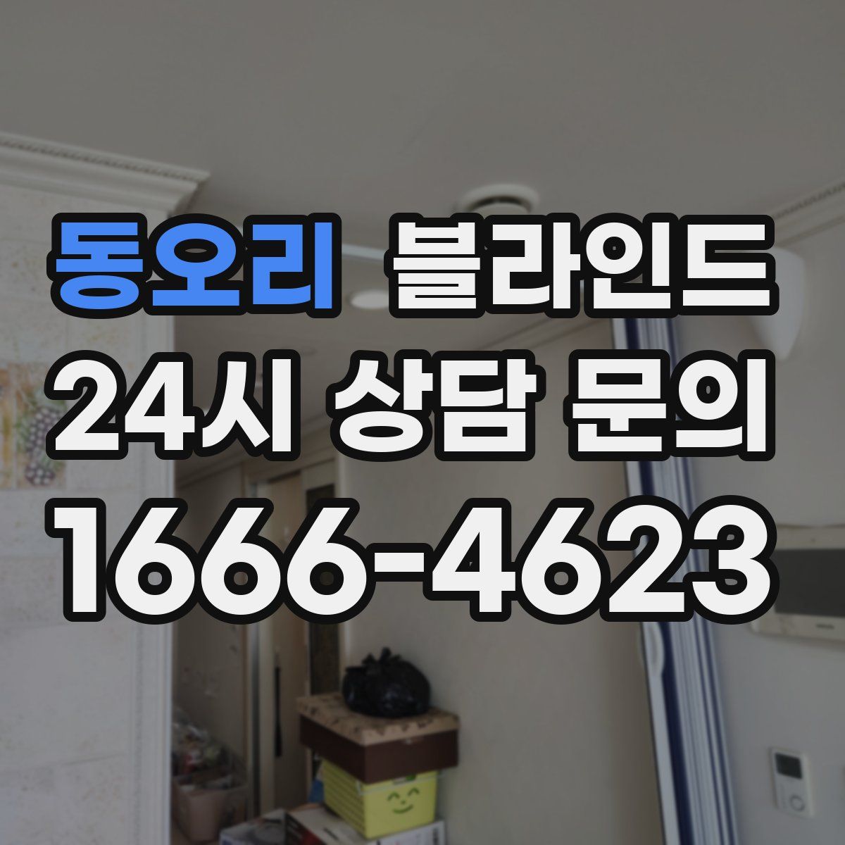 동오리 블라인드