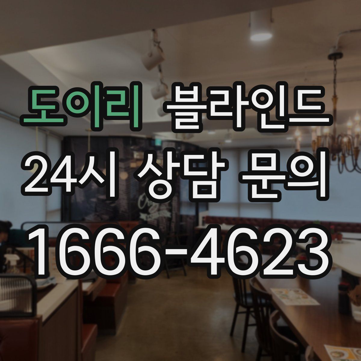 도이리 블라인드