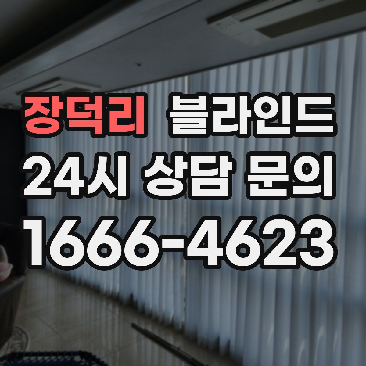 장덕리 블라인드