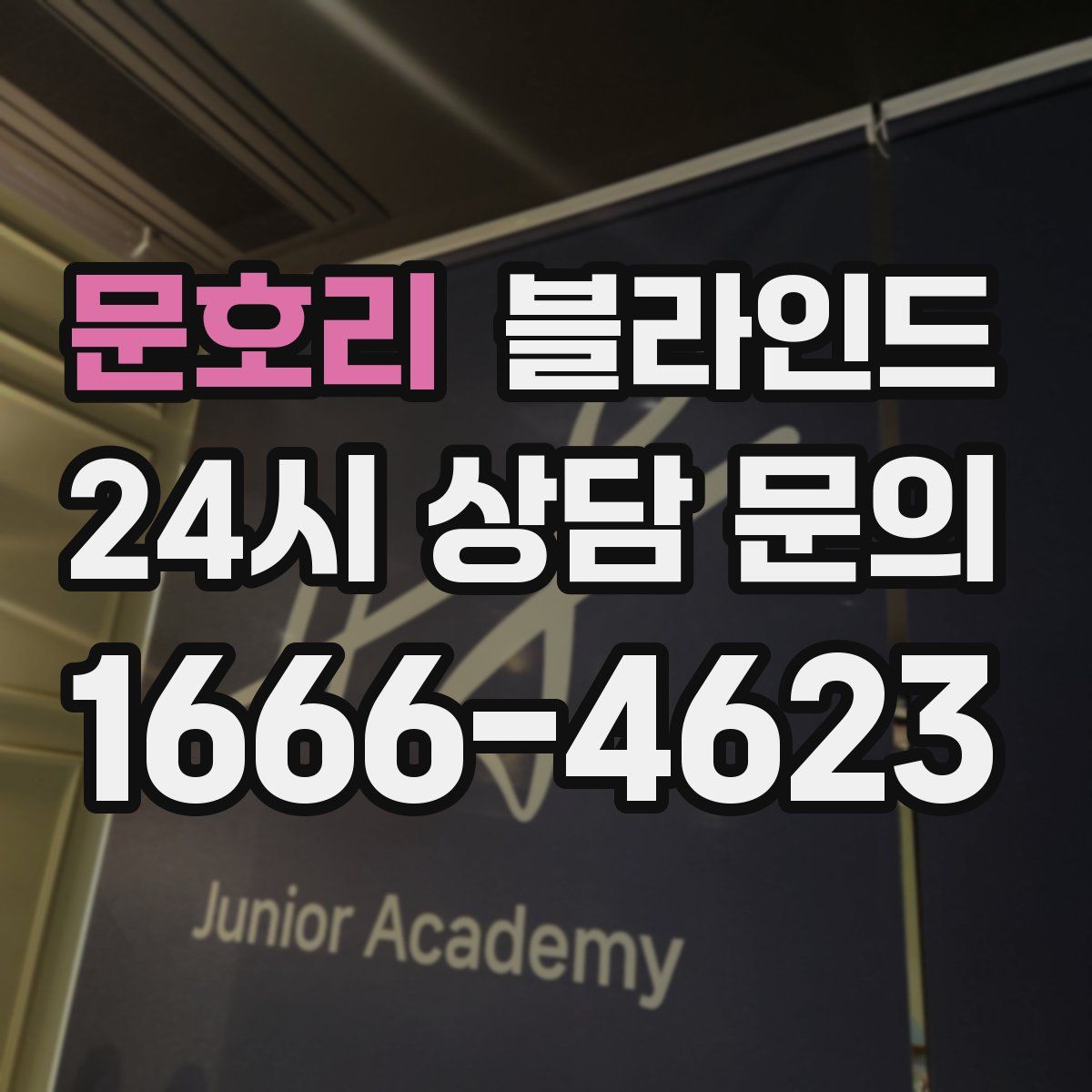 문호리 블라인드