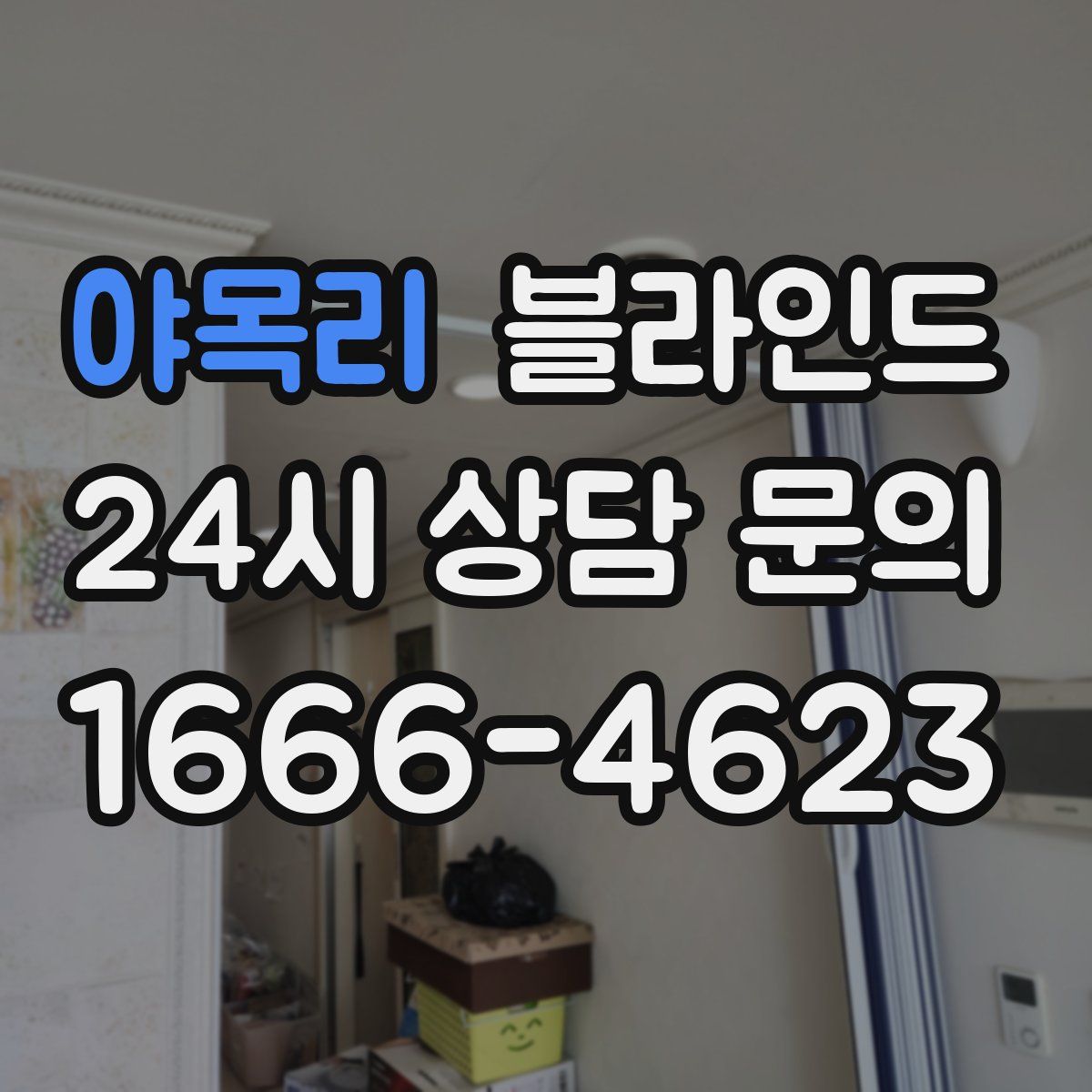 야목리 블라인드