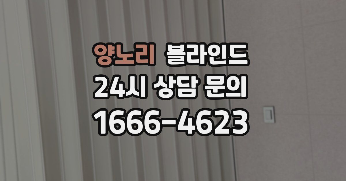 양노리 블라인드
