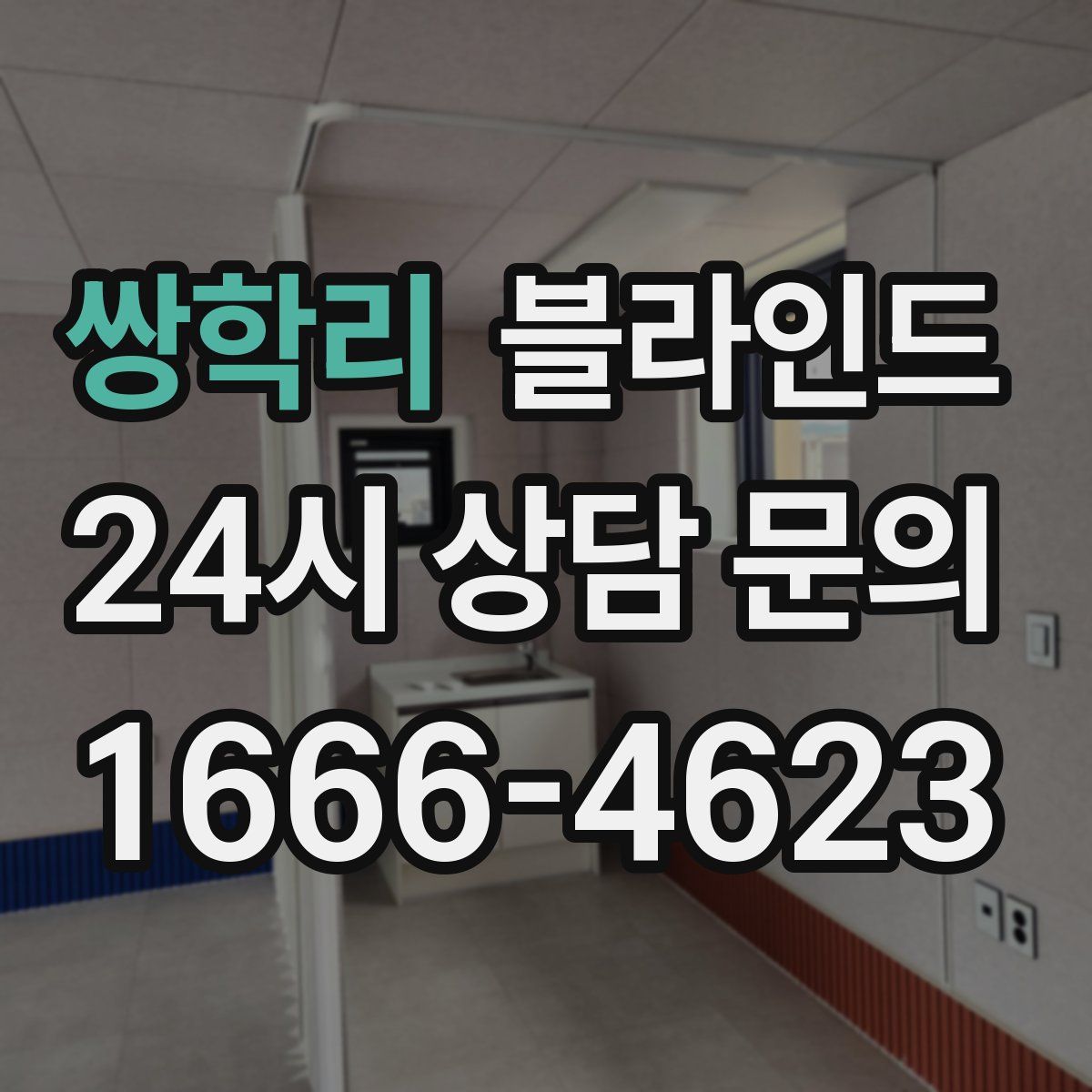 쌍학리 블라인드
