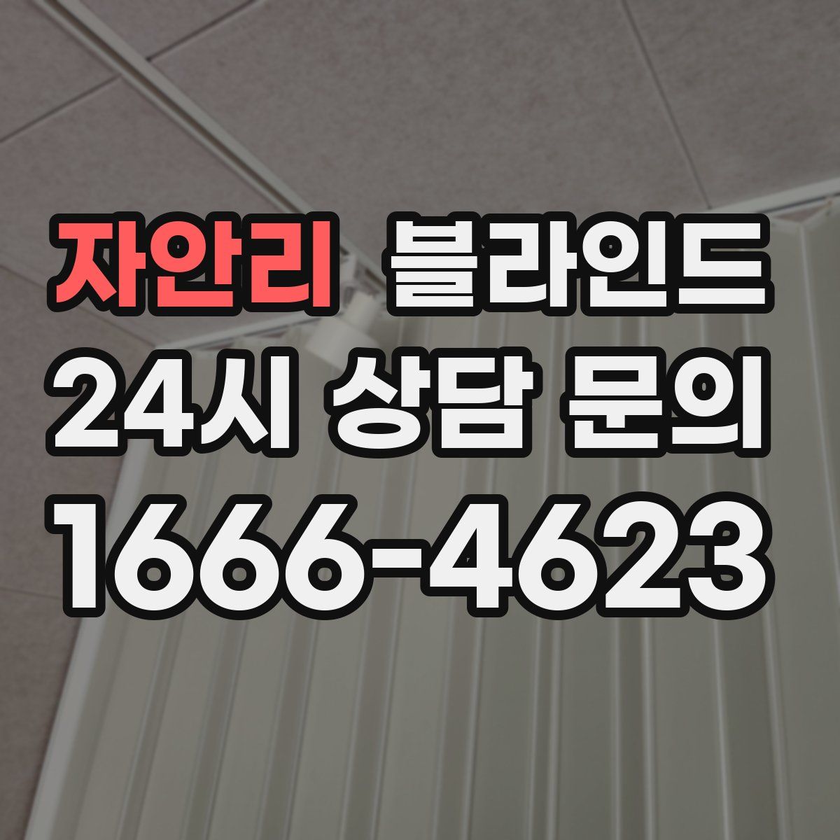 자안리 블라인드