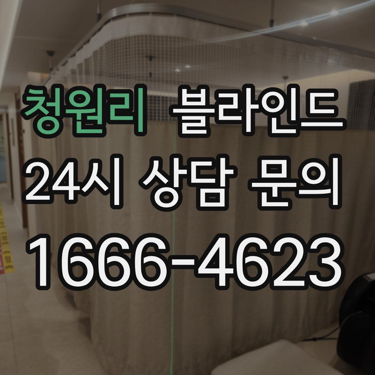 청원리 블라인드