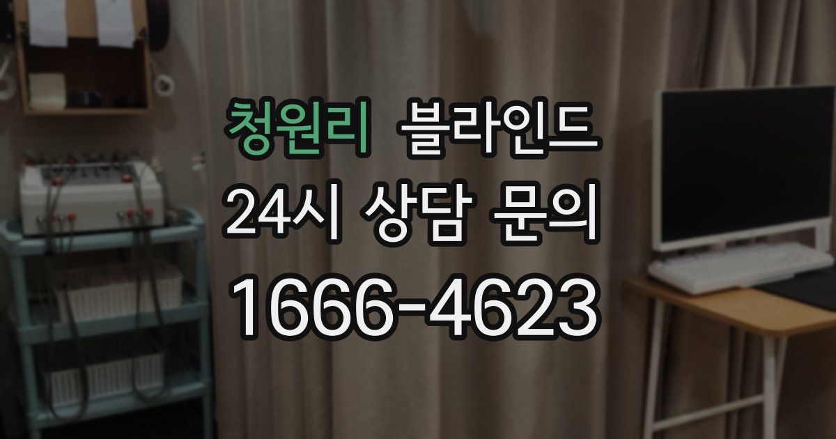 청원리 블라인드