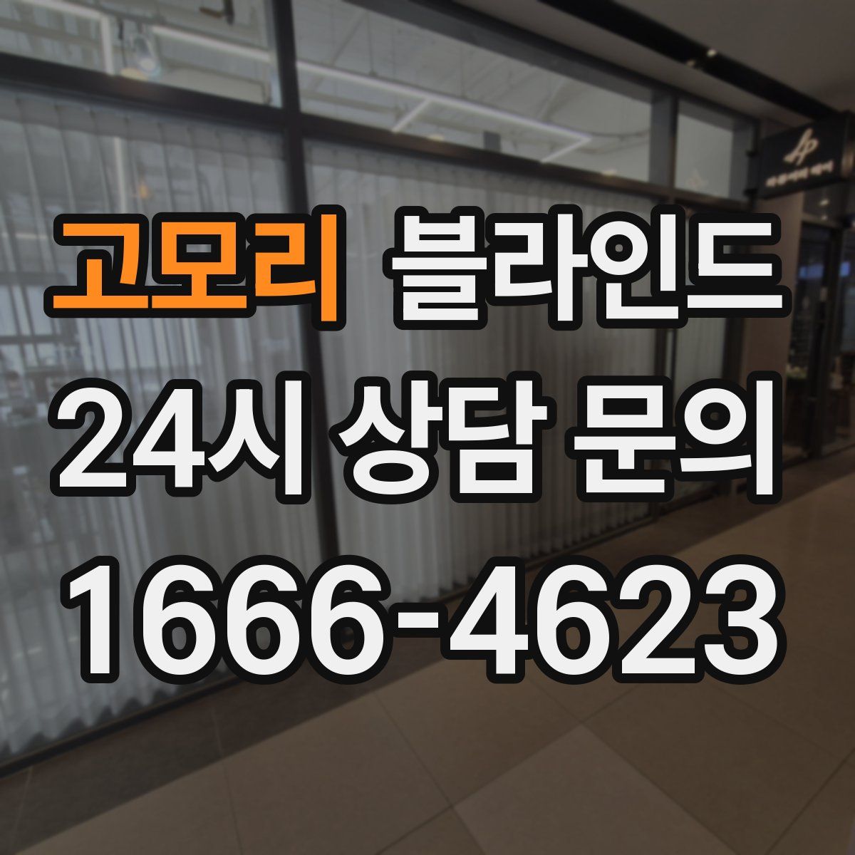 고모리 블라인드