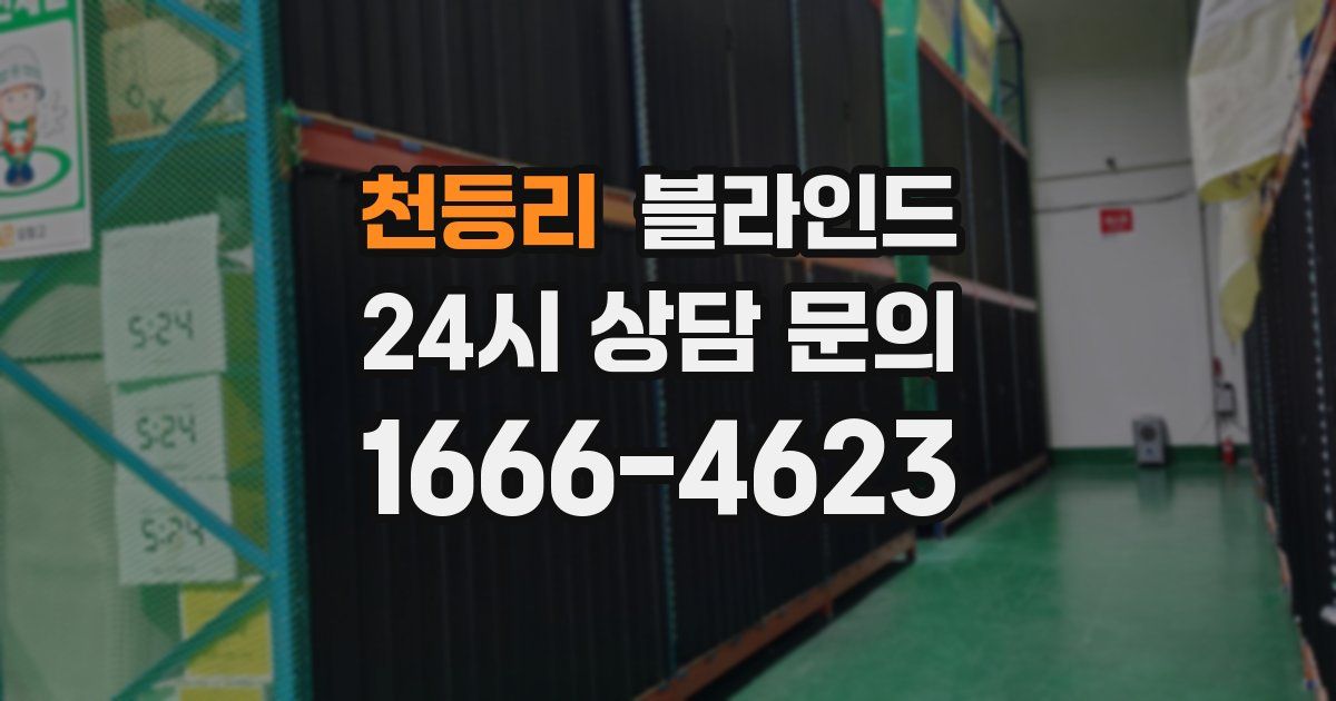 천등리 블라인드
