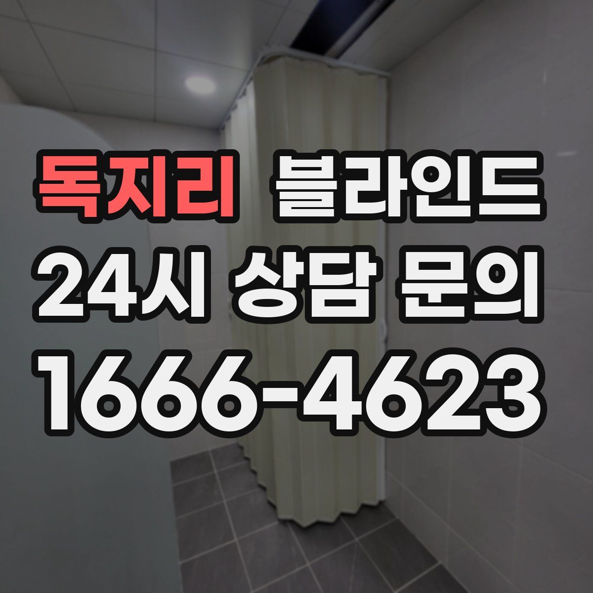 독지리 블라인드