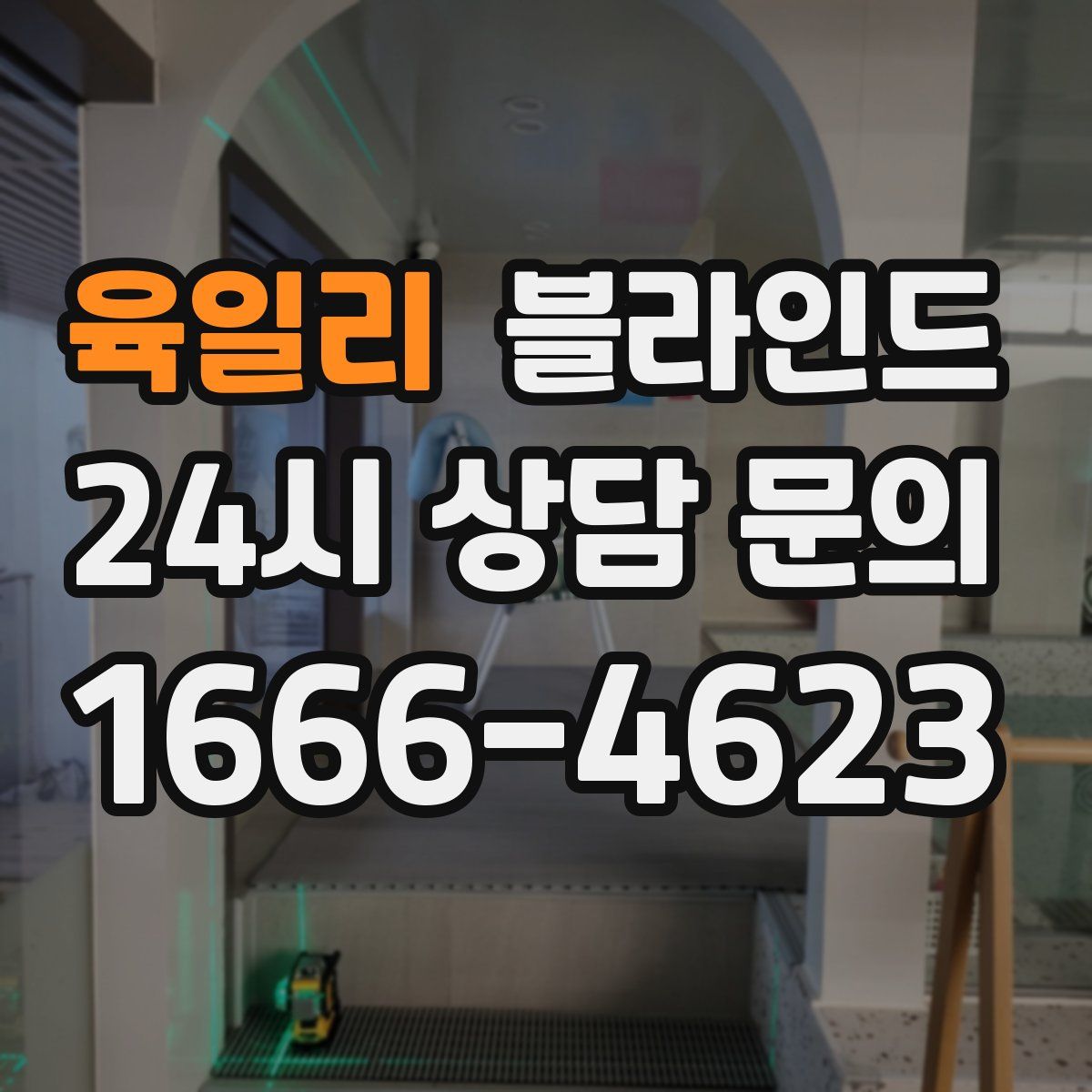 육일리 블라인드