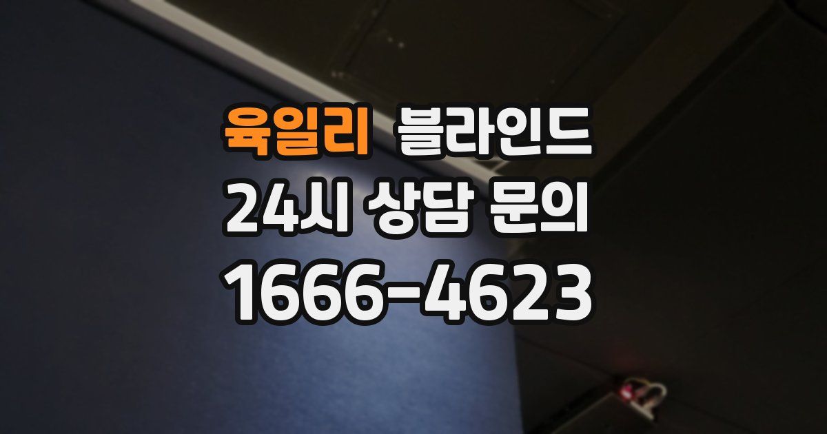 육일리 블라인드