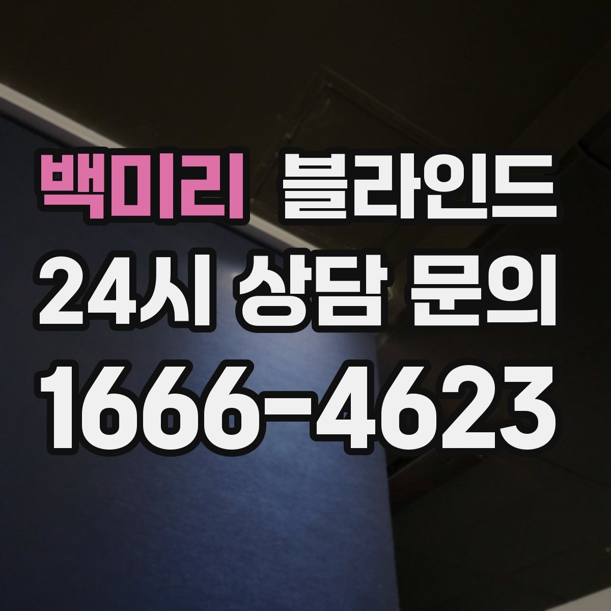 백미리 블라인드