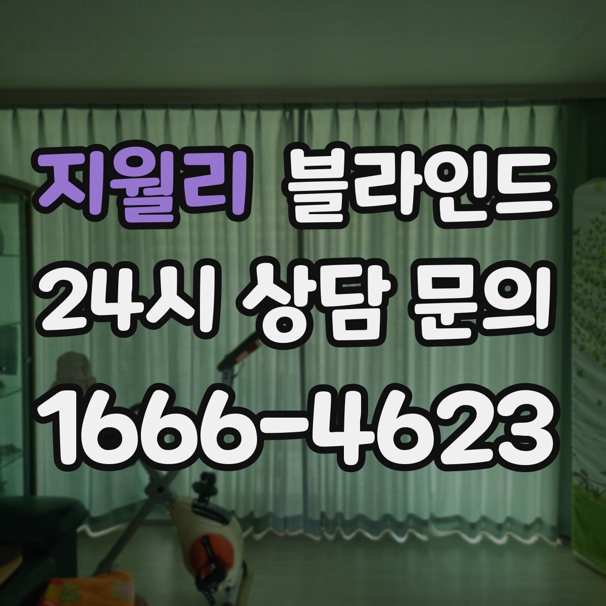 지월리 블라인드