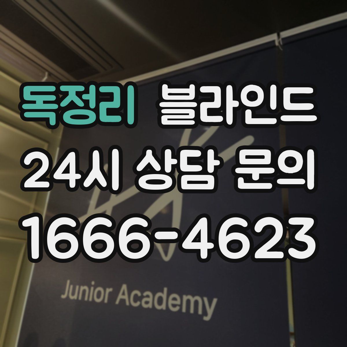 독정리 블라인드