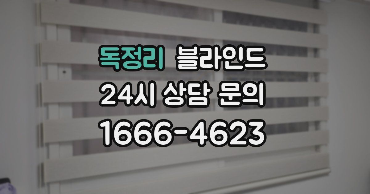 독정리 블라인드