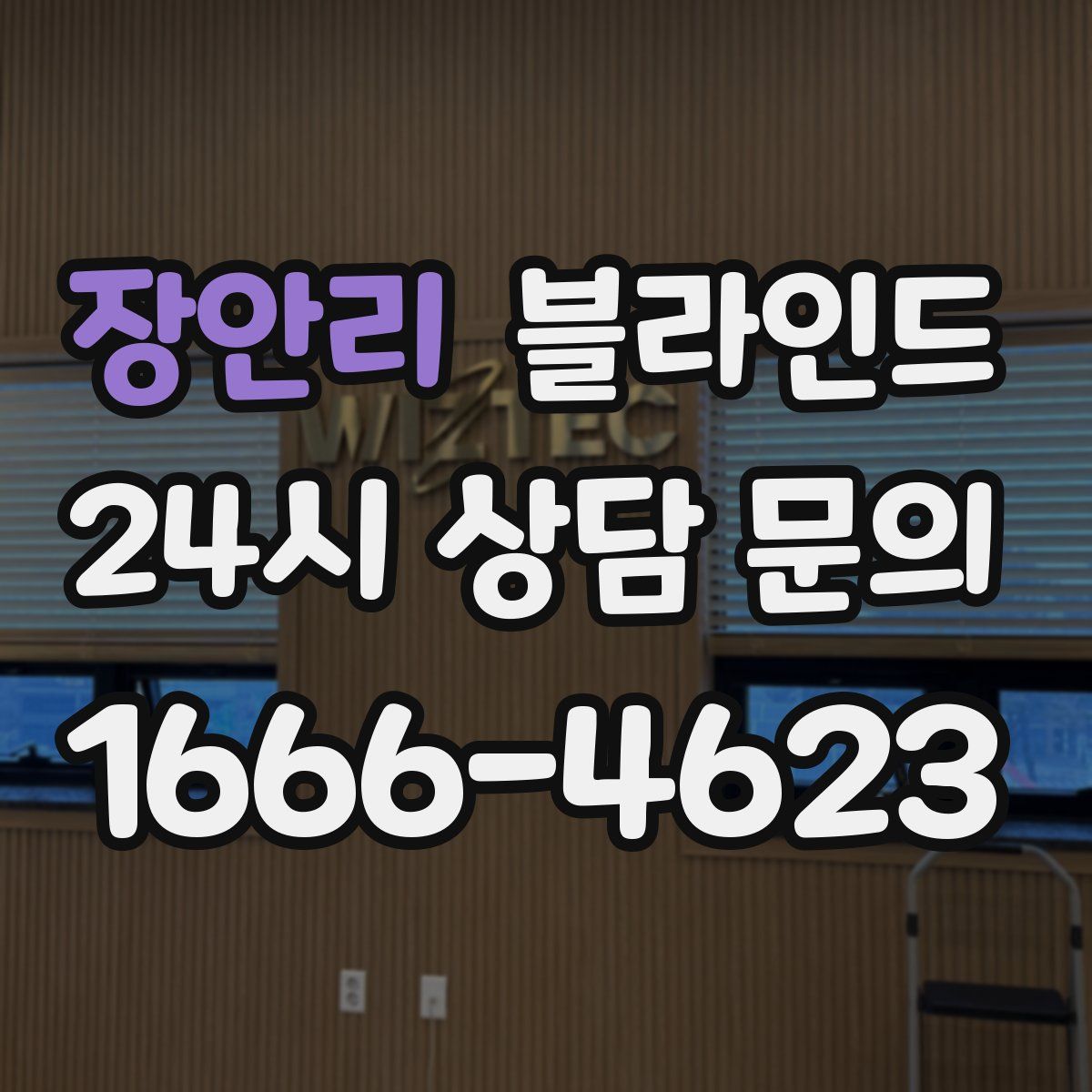 장안리 블라인드