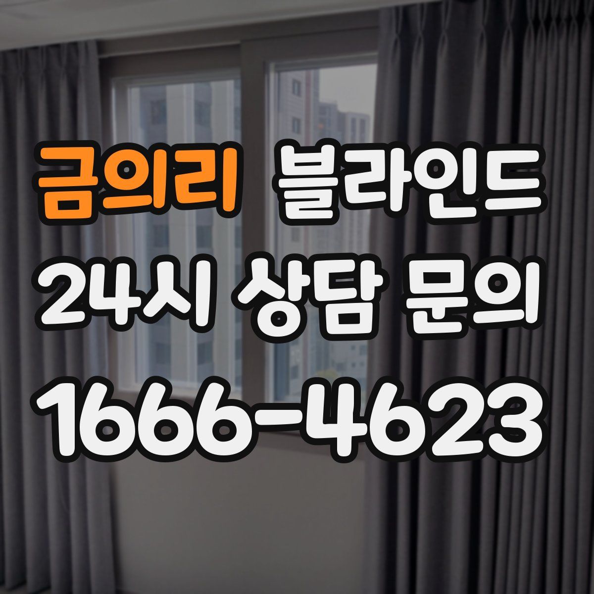 금의리 블라인드