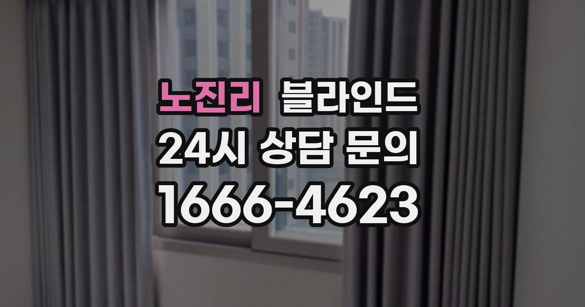 노진리 블라인드