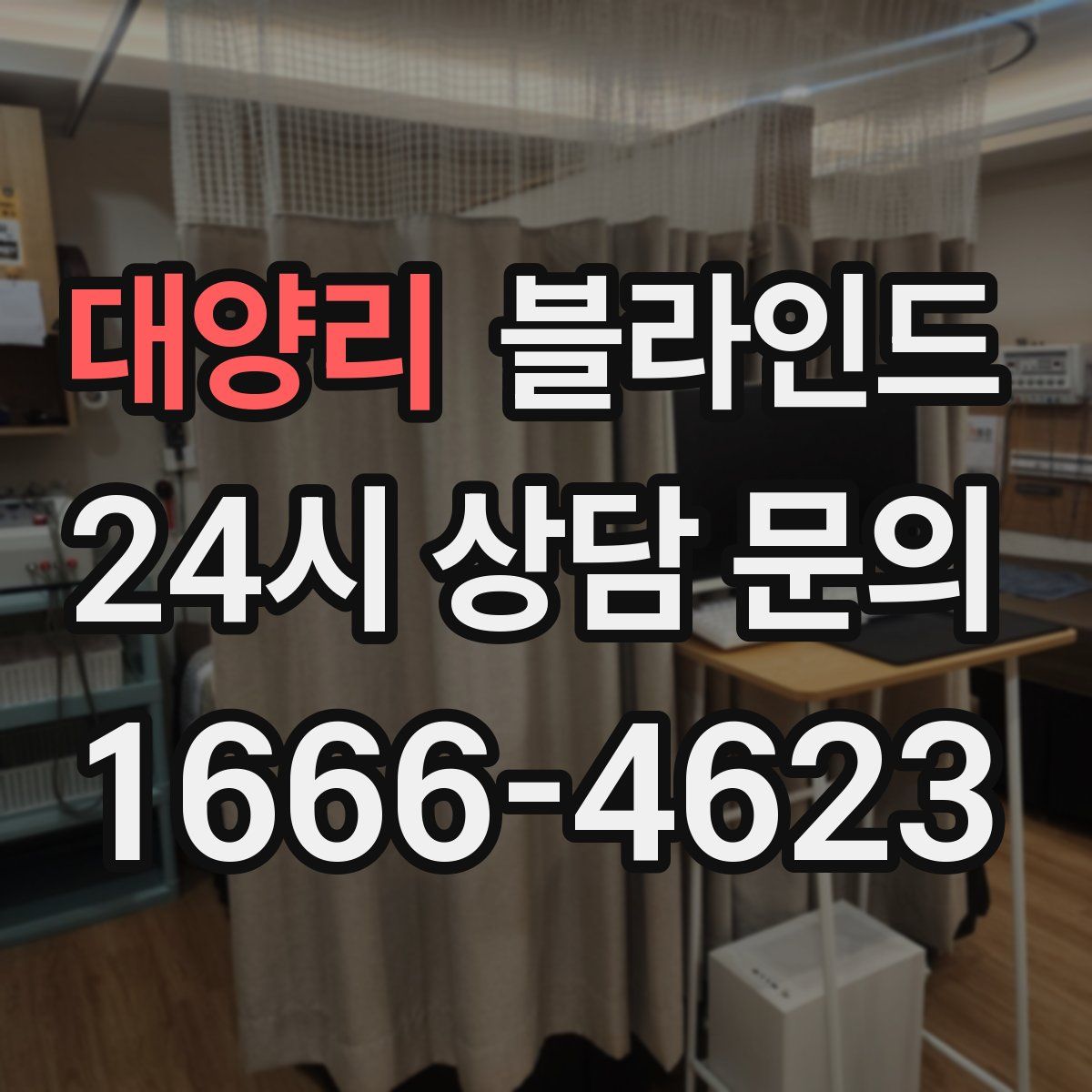 대양리 블라인드
