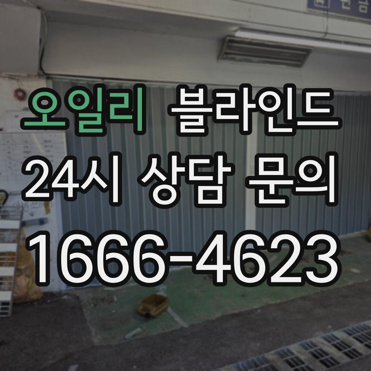 오일리 블라인드