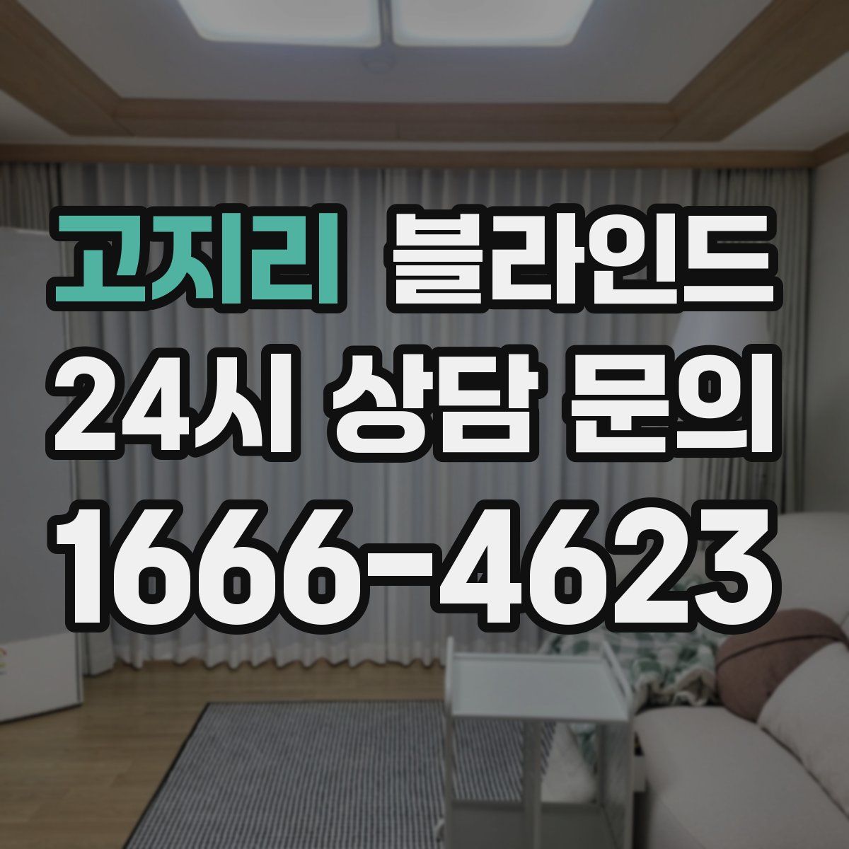 고지리 블라인드