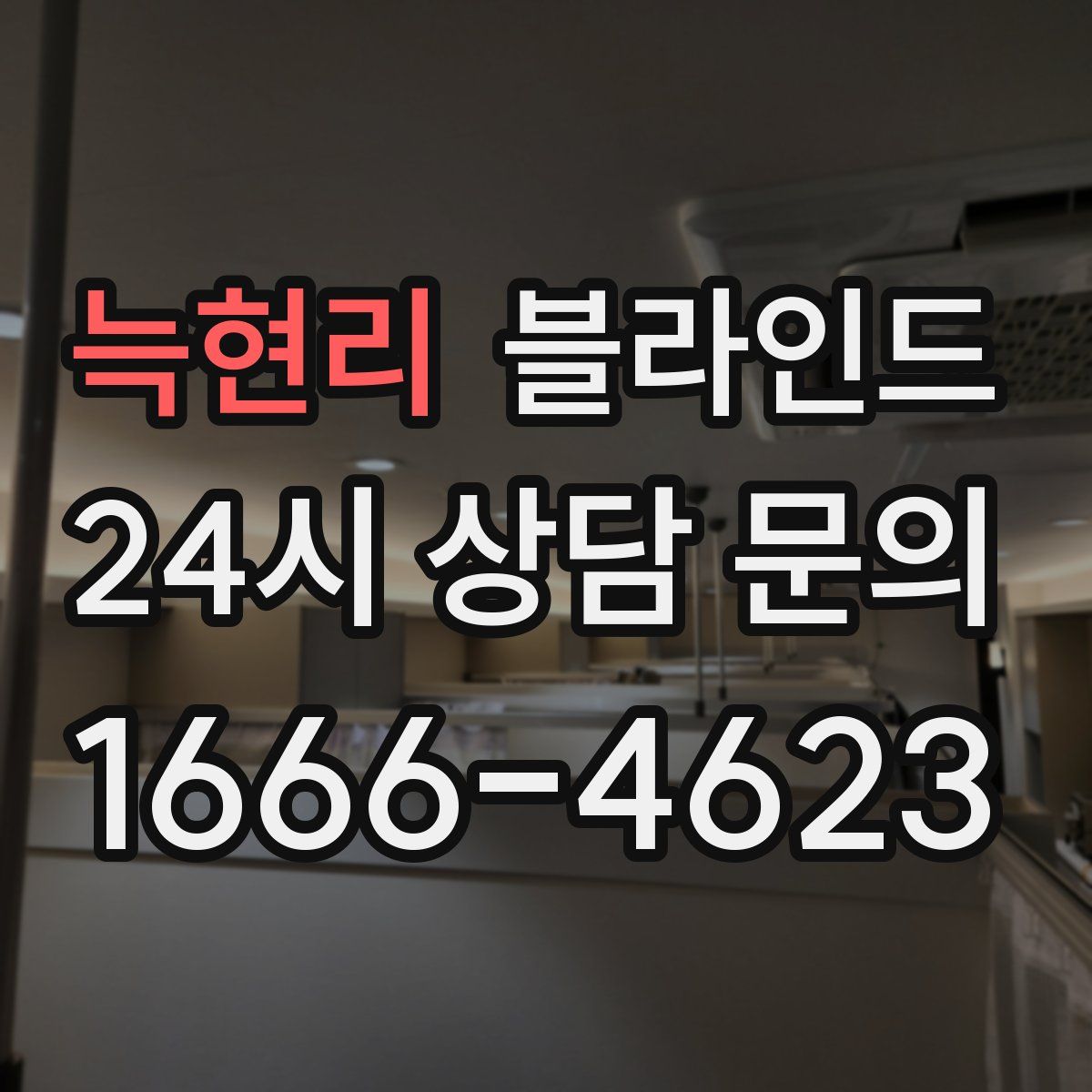 늑현리 블라인드