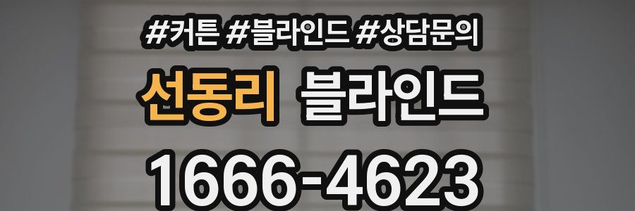 선동리 블라인드