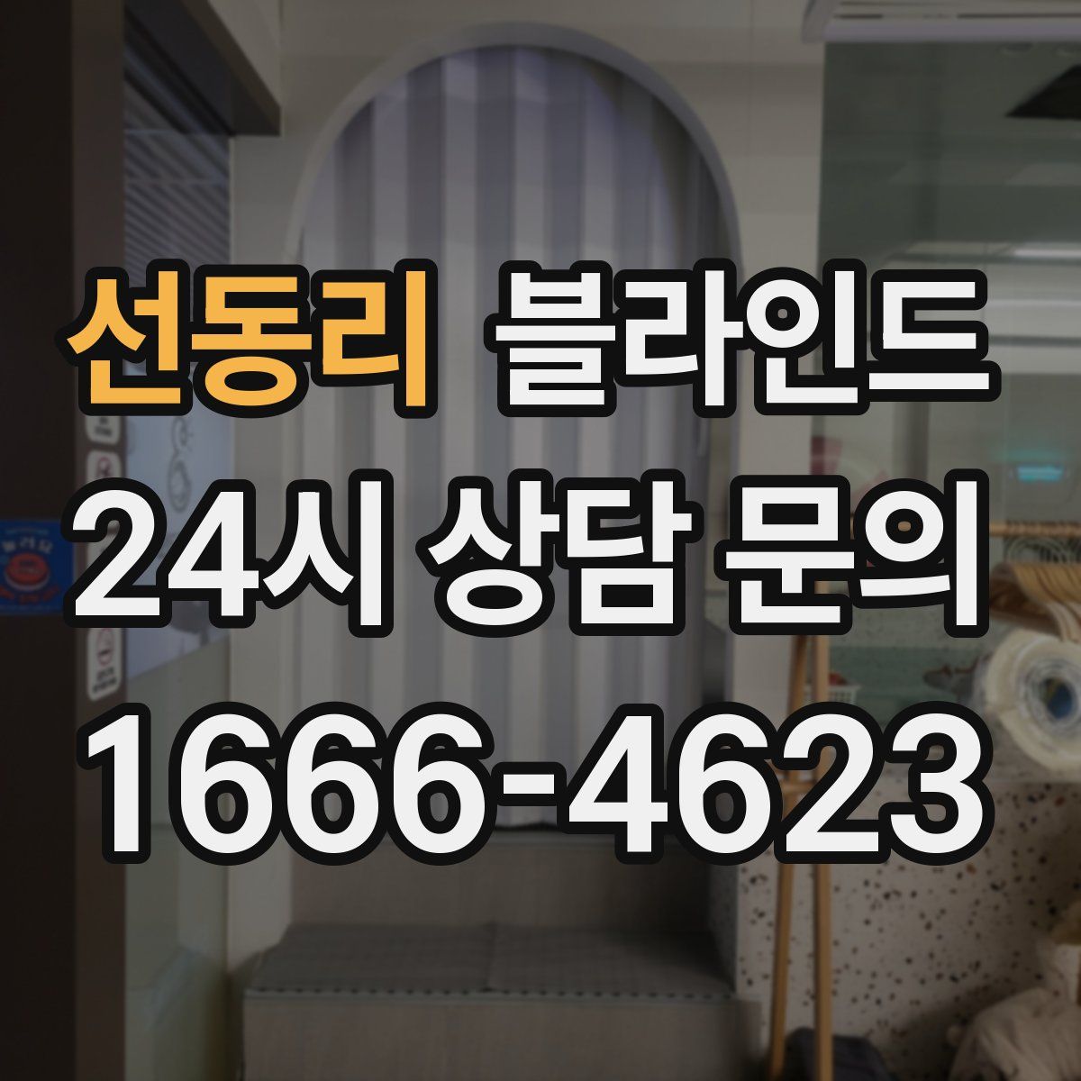 선동리 블라인드