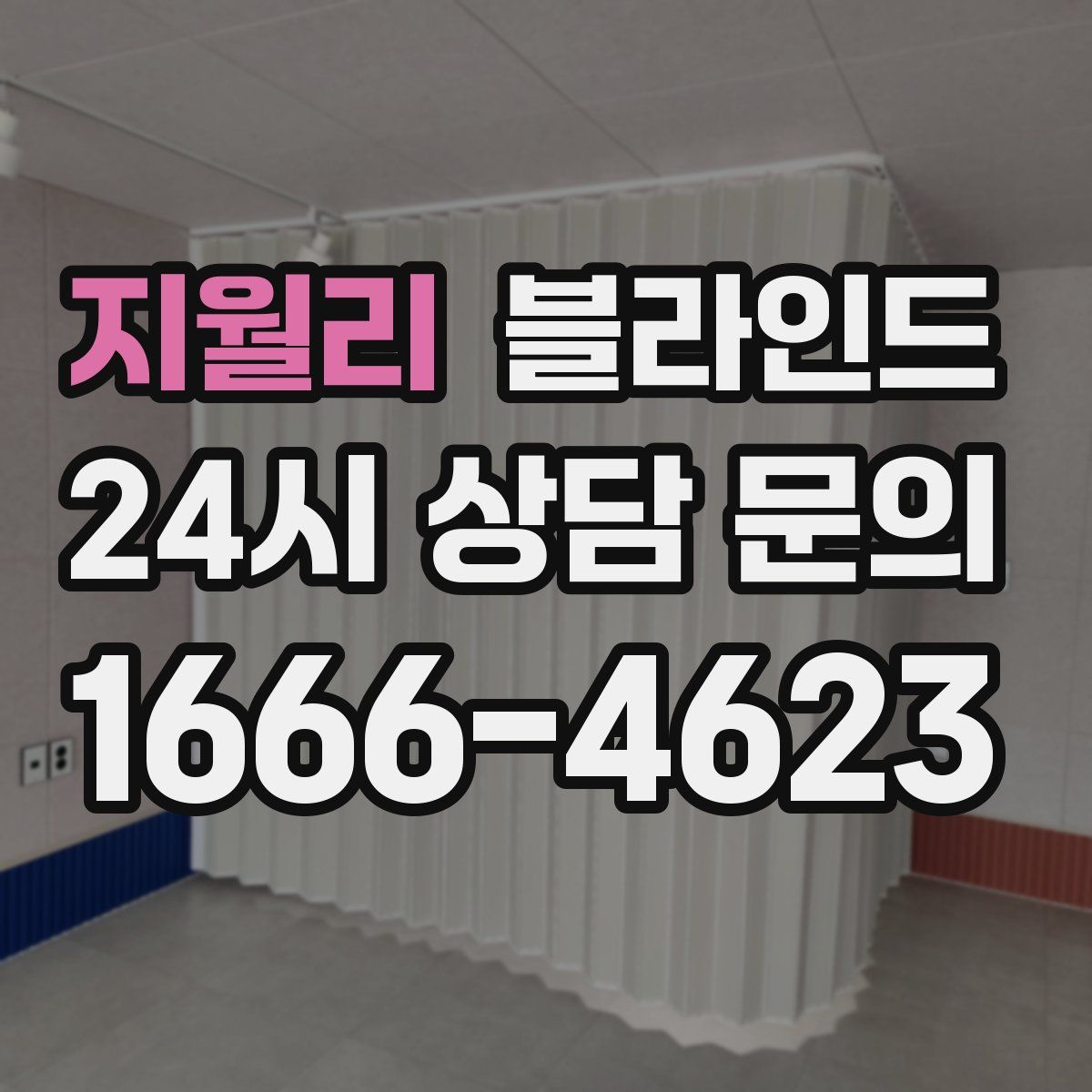 지월리 블라인드
