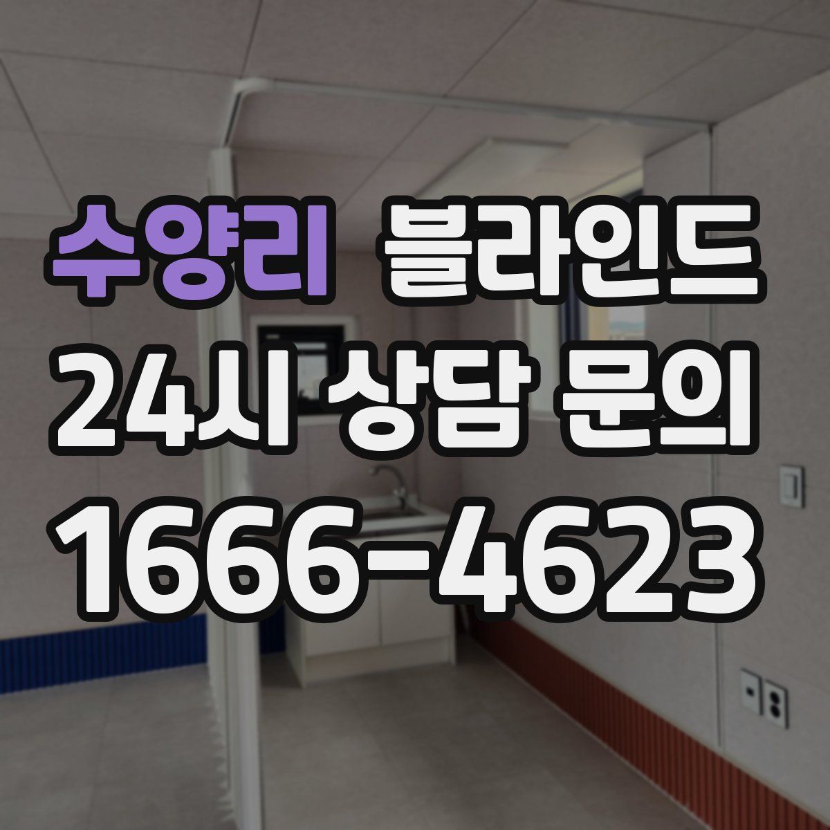 수양리 블라인드