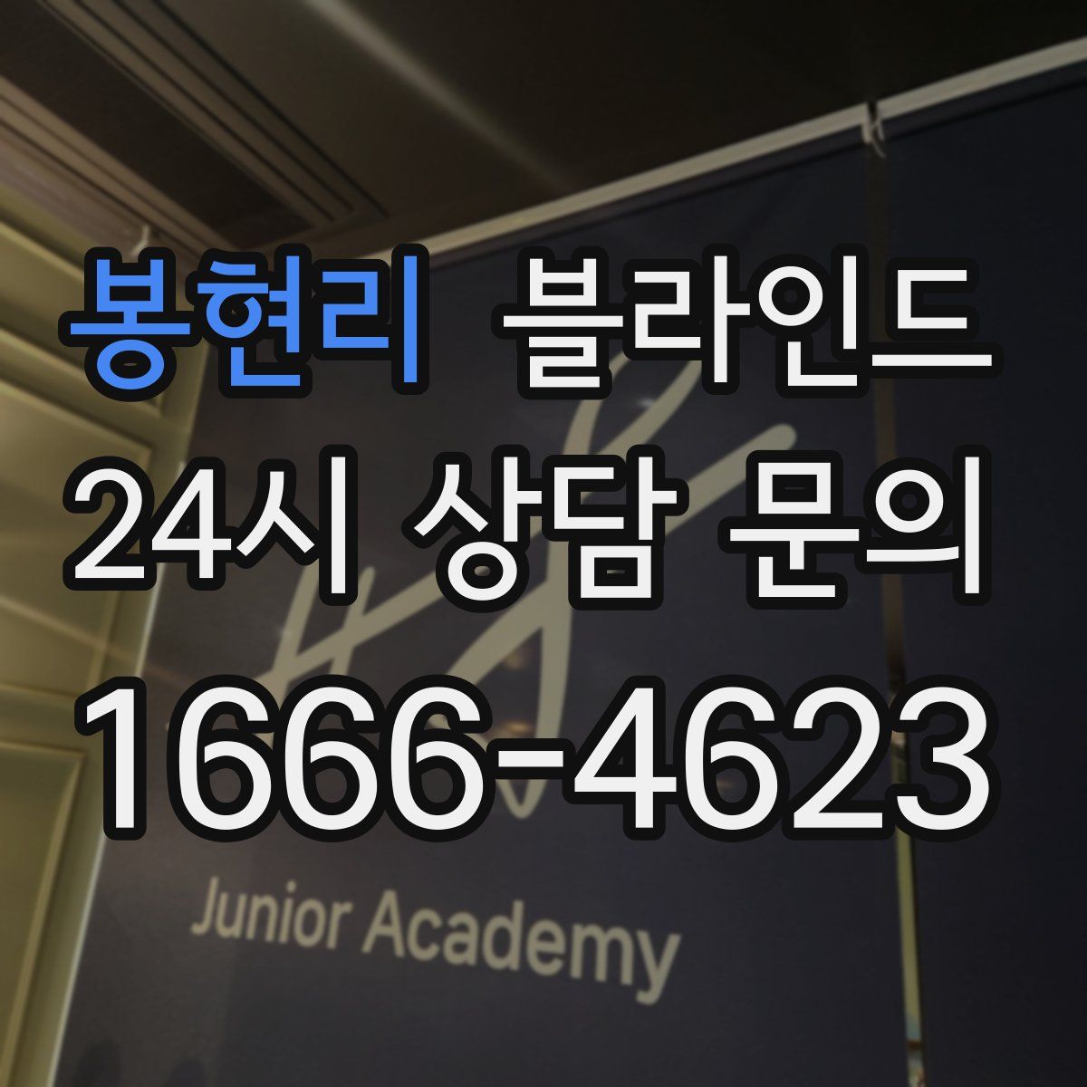 봉현리 블라인드