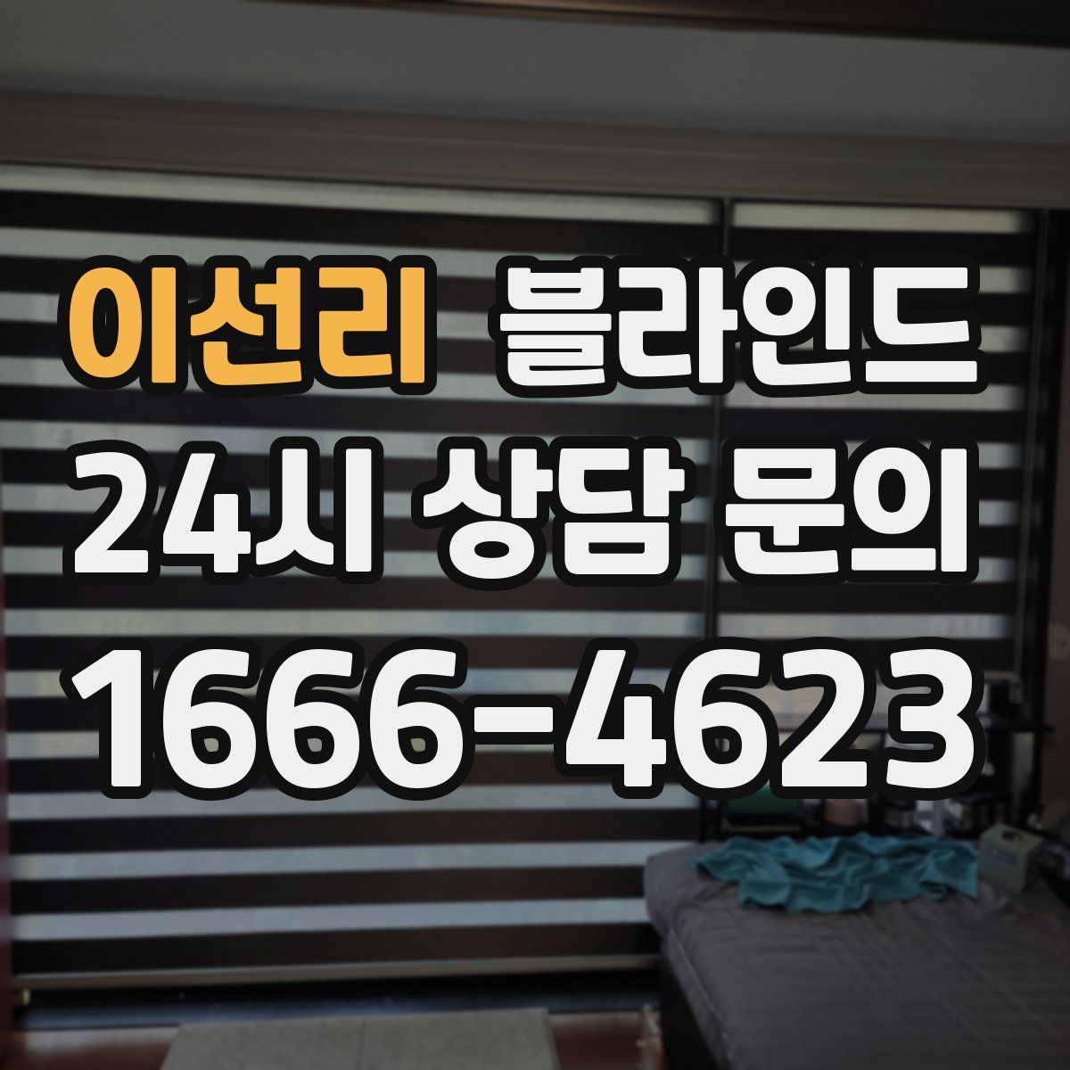 이선리 블라인드