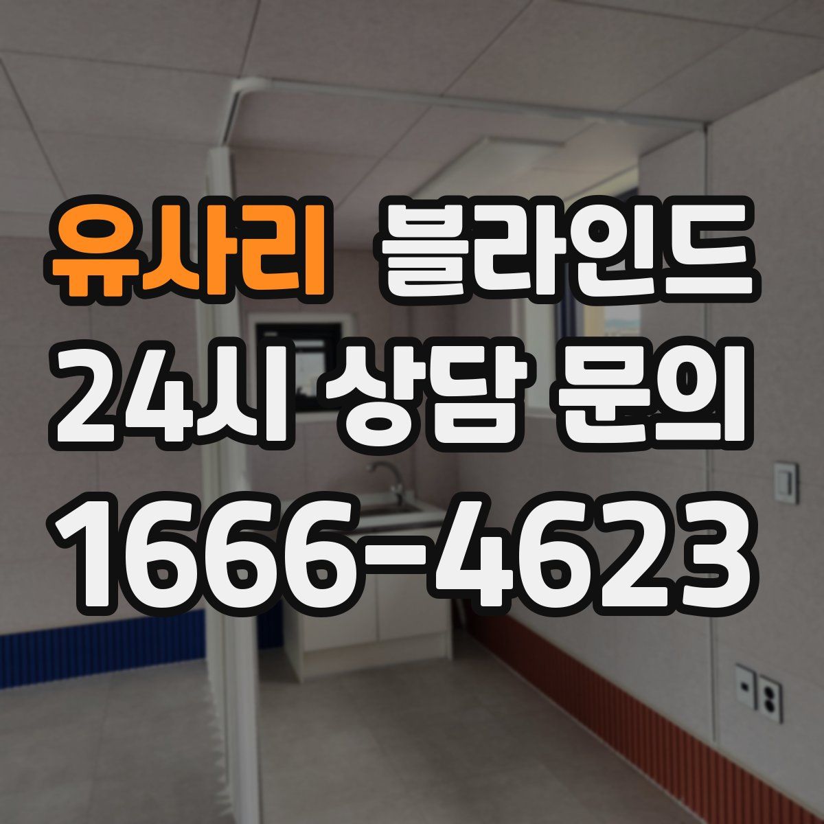 유사리 블라인드