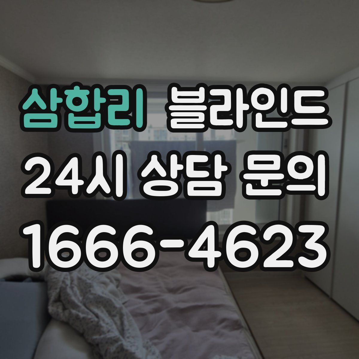 삼합리 블라인드