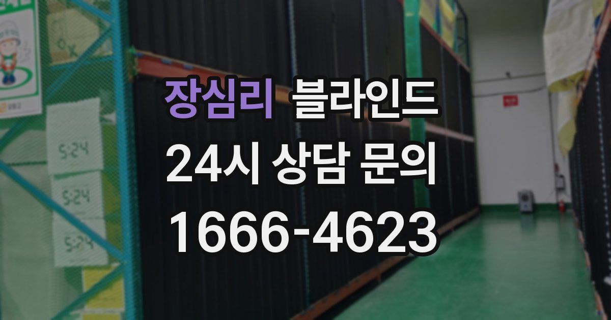 장심리 블라인드