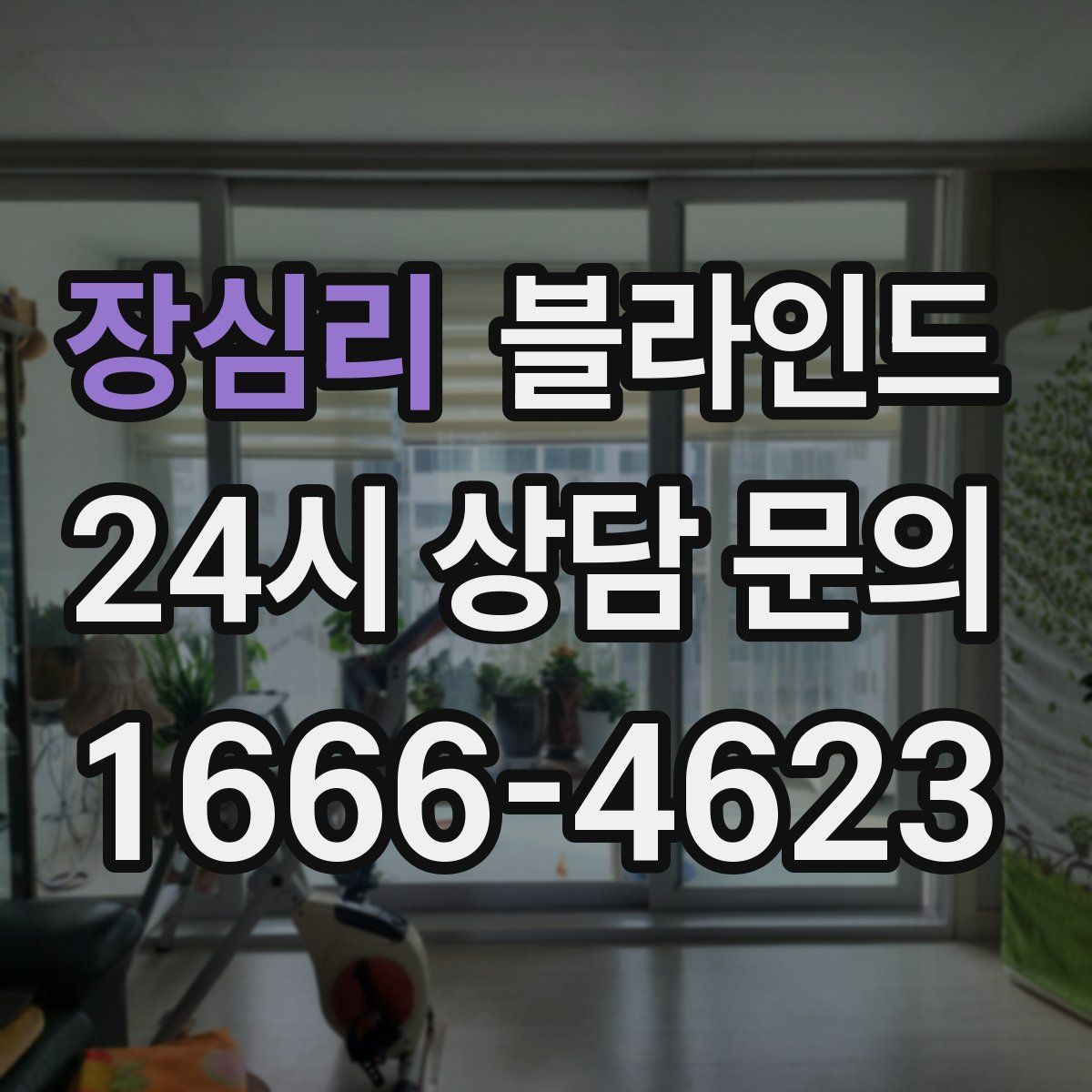 장심리 블라인드