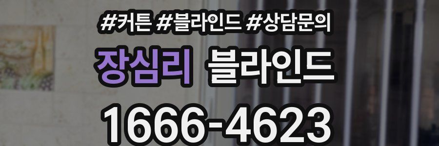 장심리 블라인드