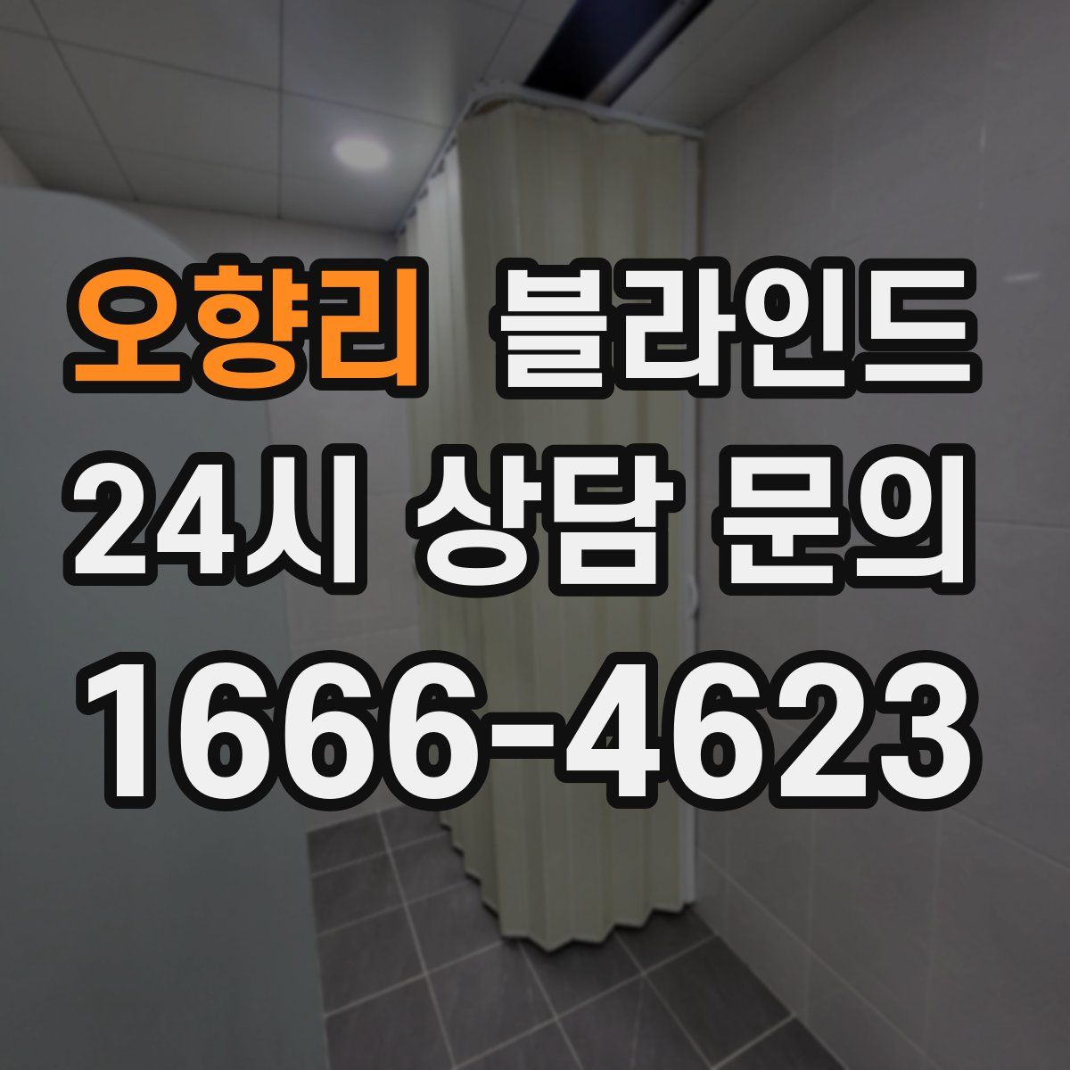 오향리 블라인드