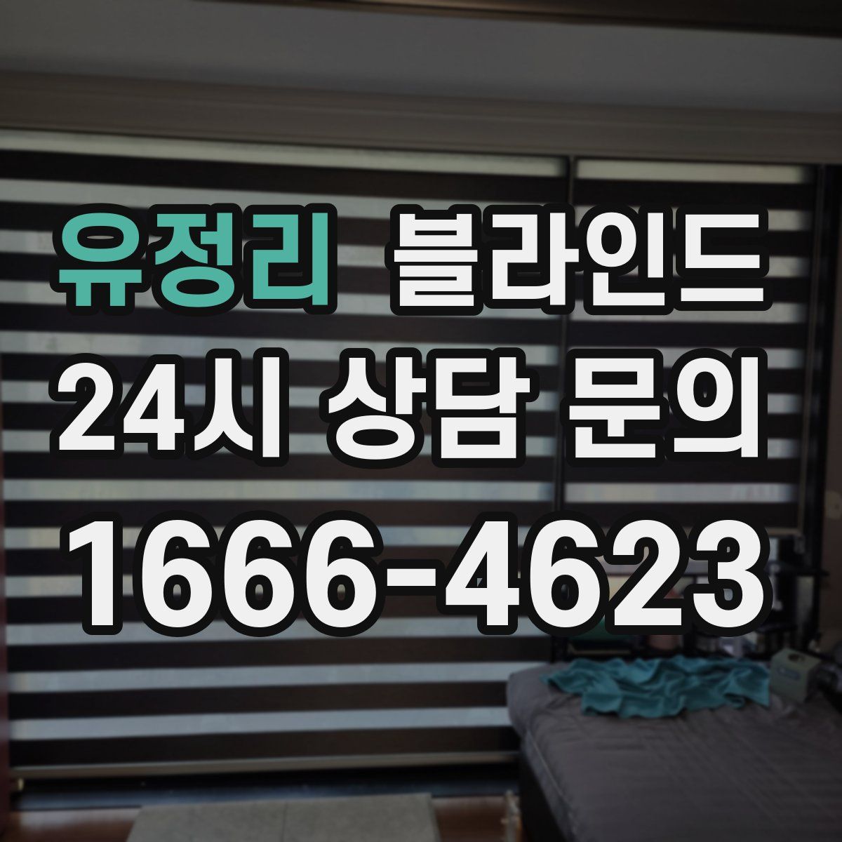 유정리 블라인드
