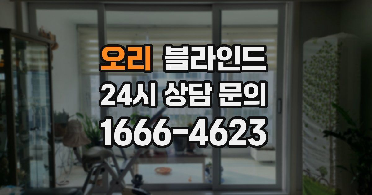 오리 블라인드