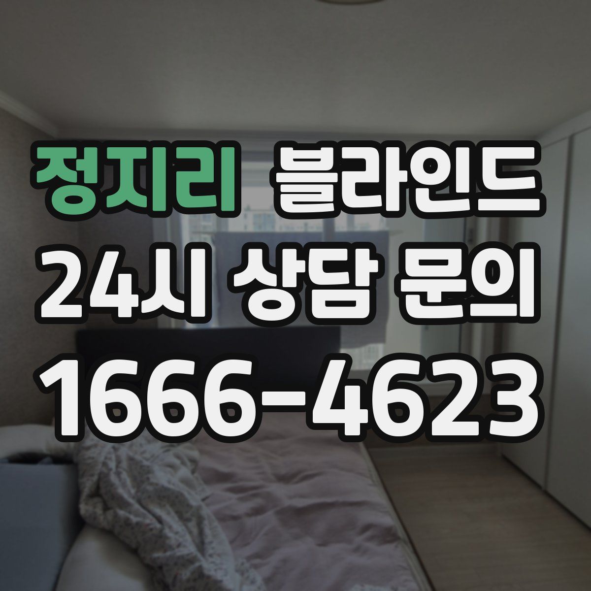정지리 블라인드