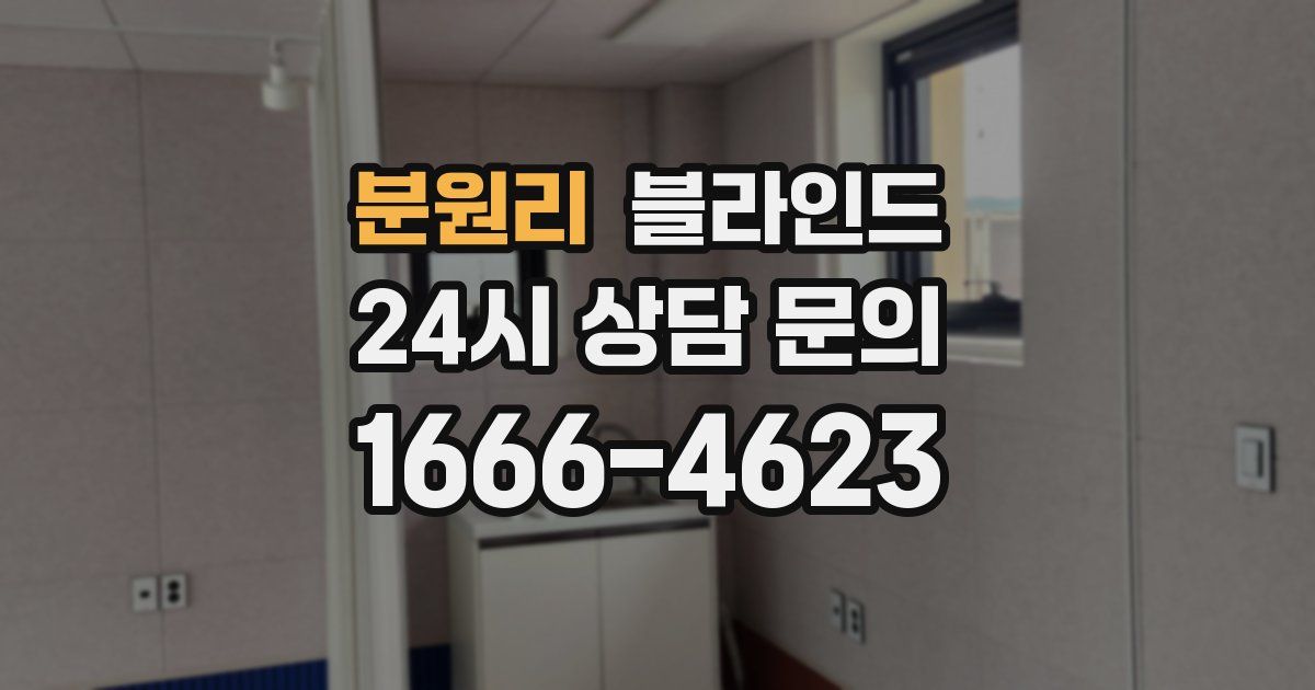 분원리 블라인드