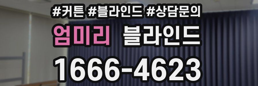 엄미리 블라인드